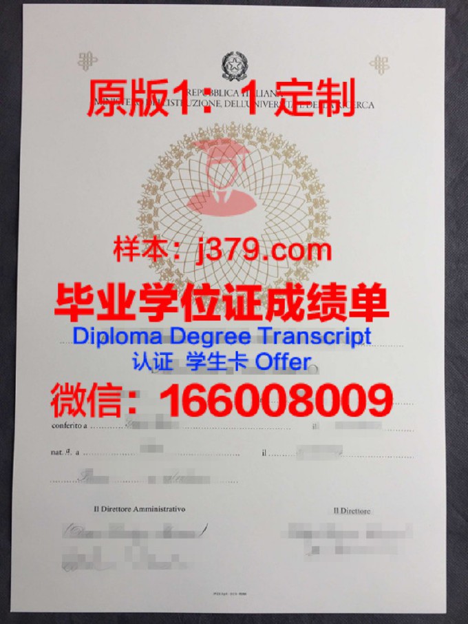 乌迪内大学diploma证书(乌迪内美术学院学历承认吗)