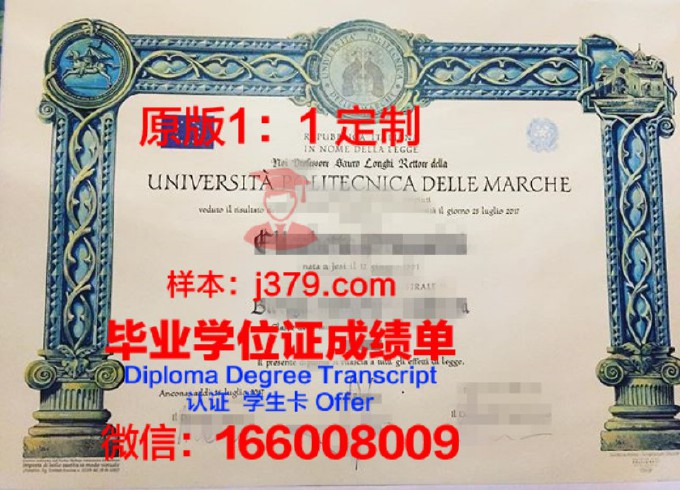 伊斯坦布尔理工大学研究生毕业证书(伊斯坦布尔大学世界排名)