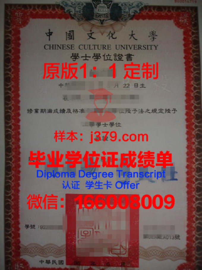 中国石油大学胜利学院毕业证(中国石油大学胜利学院毕业证书长什么样)