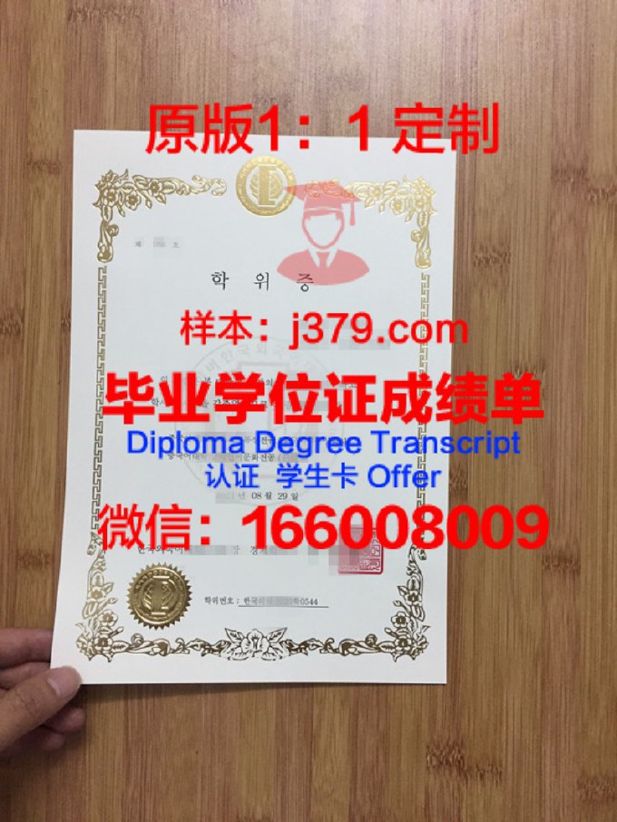 锡比乌大学的毕业证啥样(锡比乌孔子学院)