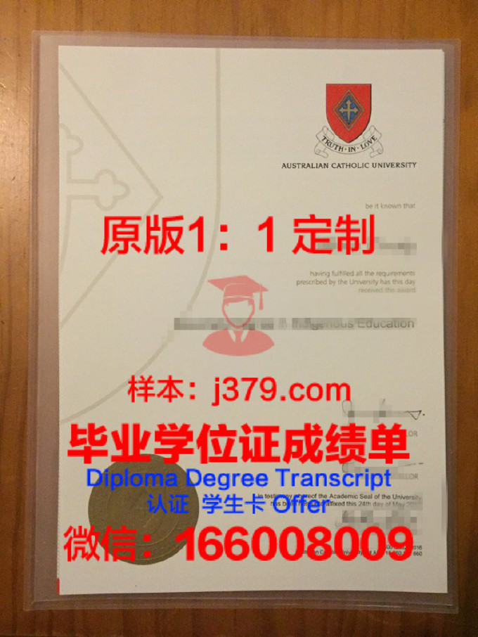 伊朗科技大学diploma证书(伊朗的大学排名)