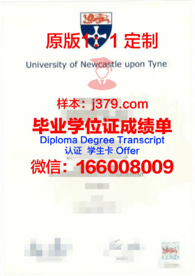 纽卡斯尔大学毕业证原件(纽卡斯尔大学硕士毕业时间)