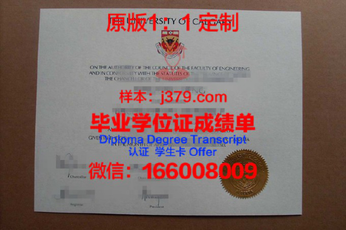 艾米丽卡尔艺术与设计大学毕业证认证成绩单Diploma