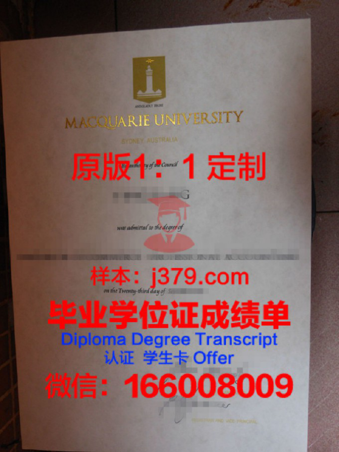 麦考瑞大学毕业证样本