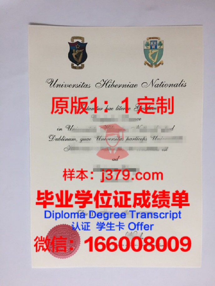 爱尔兰国立大学毕业证认证成绩单Diploma