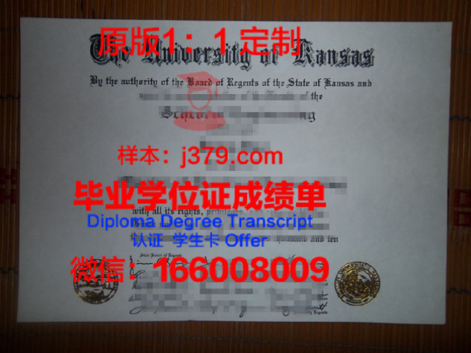 达拉斯大学毕业证认证成绩单Diploma