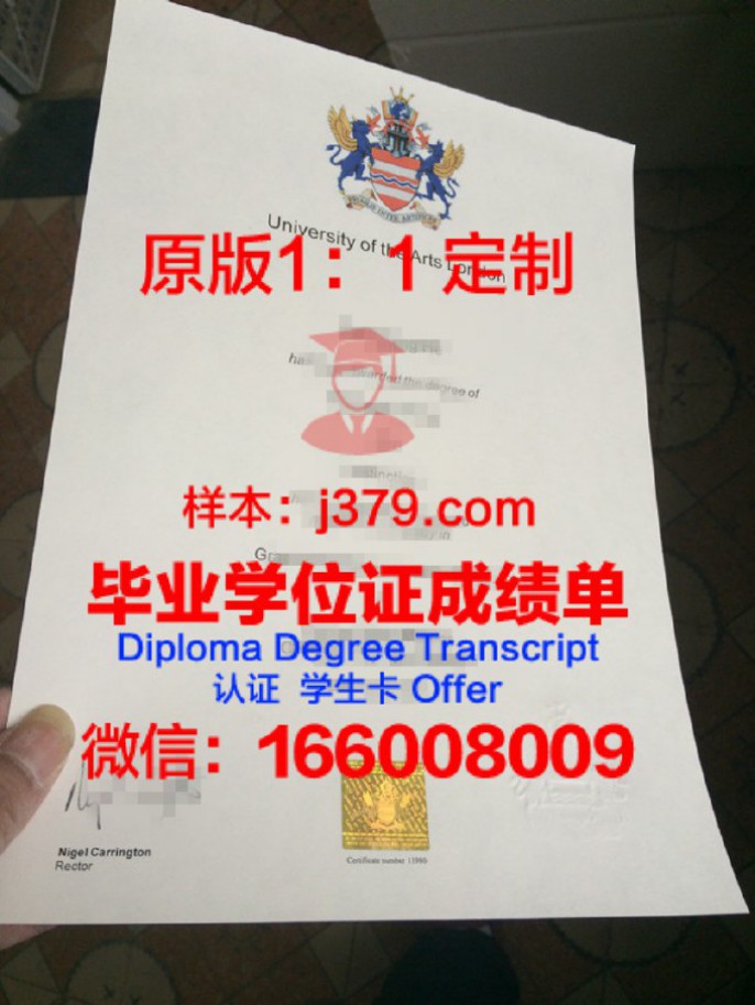 东京数字艺术专门学校录取通知书OFFER定制，助你开启艺术之旅！