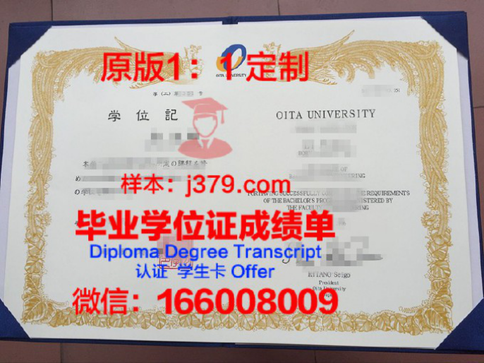 大分大学毕业证认证成绩单Diploma