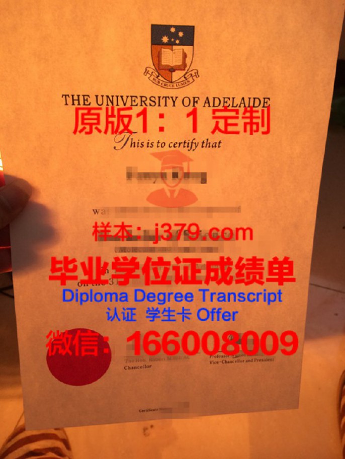 阿德莱德大学毕业证样品The University of Adelaide Diploma