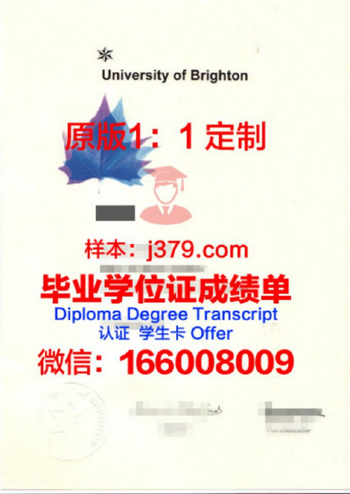 布莱顿学院毕业证认证成绩单Diploma