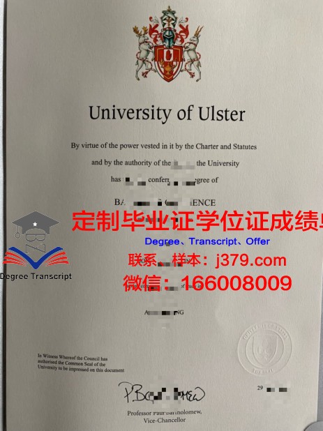 特温特大学毕业证diploma