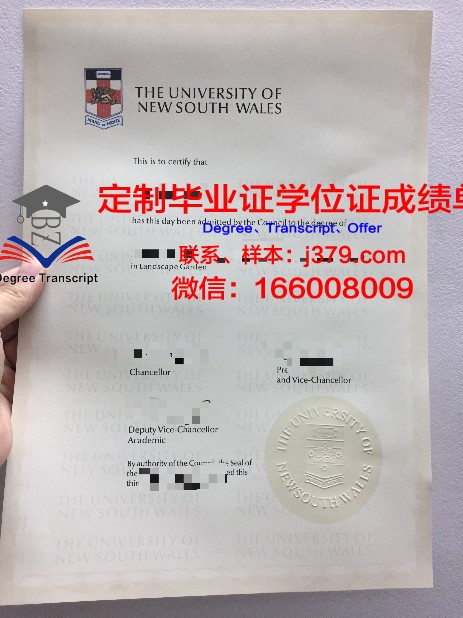 IESA多媒体学院毕业证是什么样子(多媒体技术专业大学)