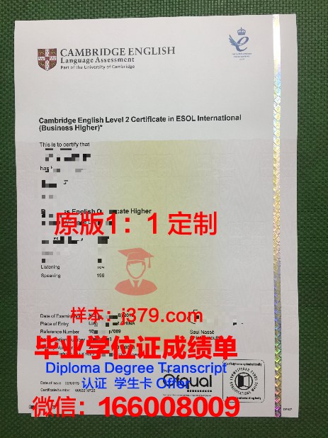 特伦托大学毕业证书图片模板(特伦托大学毕业证书图片模板大全)