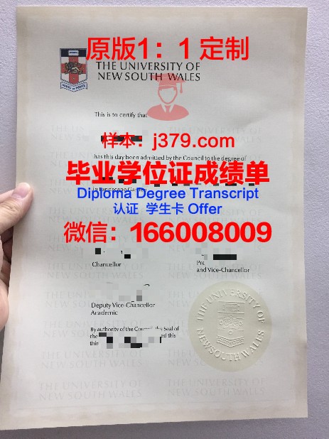 马拉纳特国际大学学历证书(马拉加大学排名)