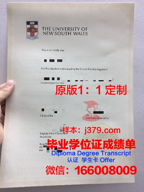 米尼亚大学 diploma 毕业证