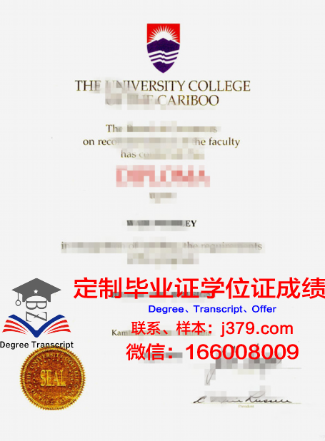 特里布万大学的毕业证啥样(特里布文大学亚洲排名)