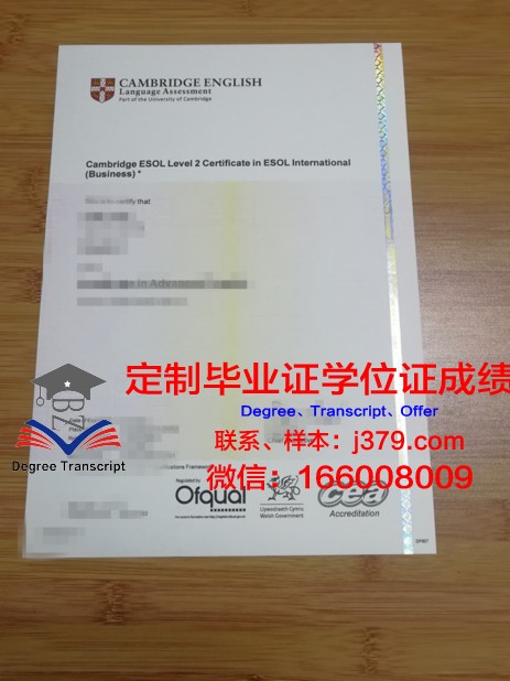 特伦托大学毕业证书图片模板(特伦托大学毕业证书图片模板大全)