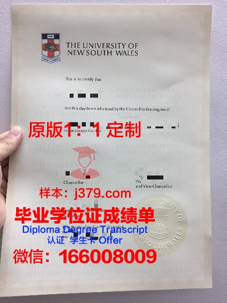 IE大学毕业学位