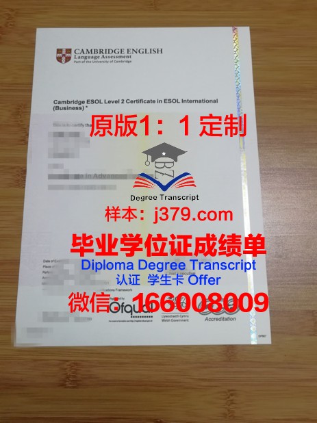 特鲁瓦高等商业学院研究生毕业证书(特鲁瓦的大学)