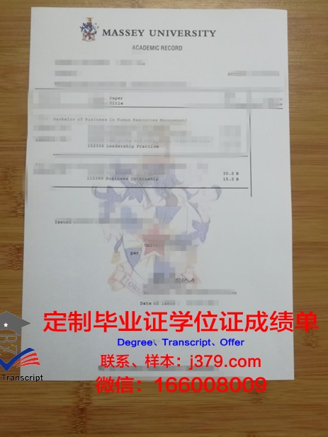 Hornheim成绩单：揭示教育改革的新视角