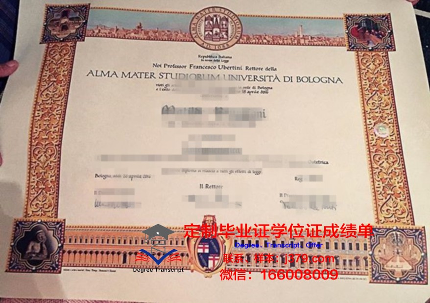 特兰西瓦尼亚大学毕业证学位文凭学历Diploma