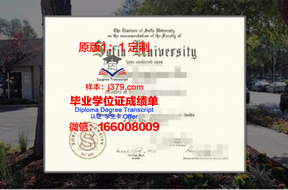 索菲亚大学mba学位证书(美国索菲亚大学mba值得读吗)