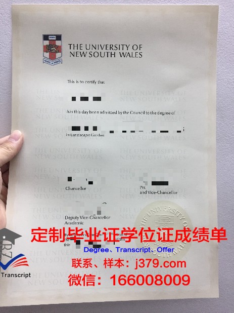 特里尔大学本科毕业证：开启国际视野的通行证