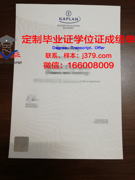 玉川国际学院毕业证diploma