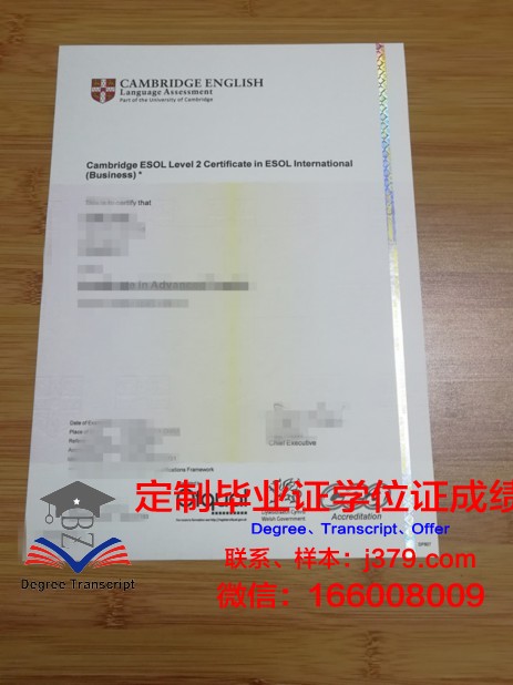 第戎大学材料研究高等工程师学院毕业证书