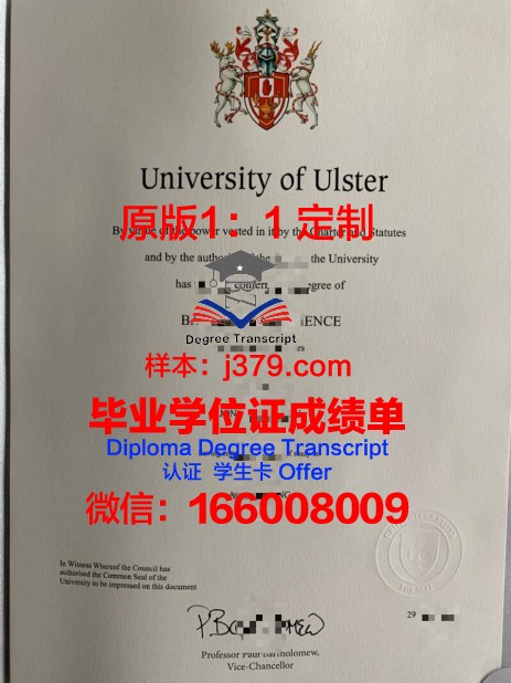 特大学学位成绩单定制：探究其背后的市场需求与伦理问题