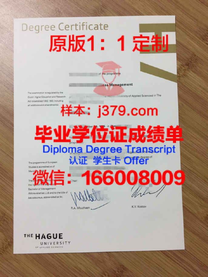 荷兰皇家艺术学院毕业证图片Royal Academy of Art, The Hague Diploma