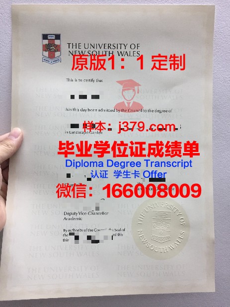 IE大学毕业证照片(大学毕业证照片是什么样的)