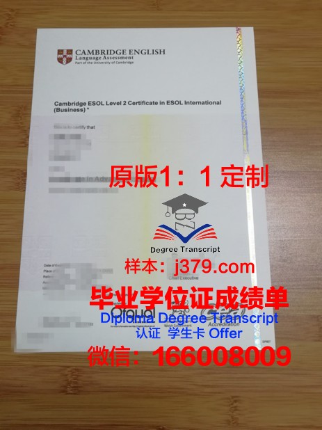 索非亚大学毕业证书图片(索非亚公司怎么样)