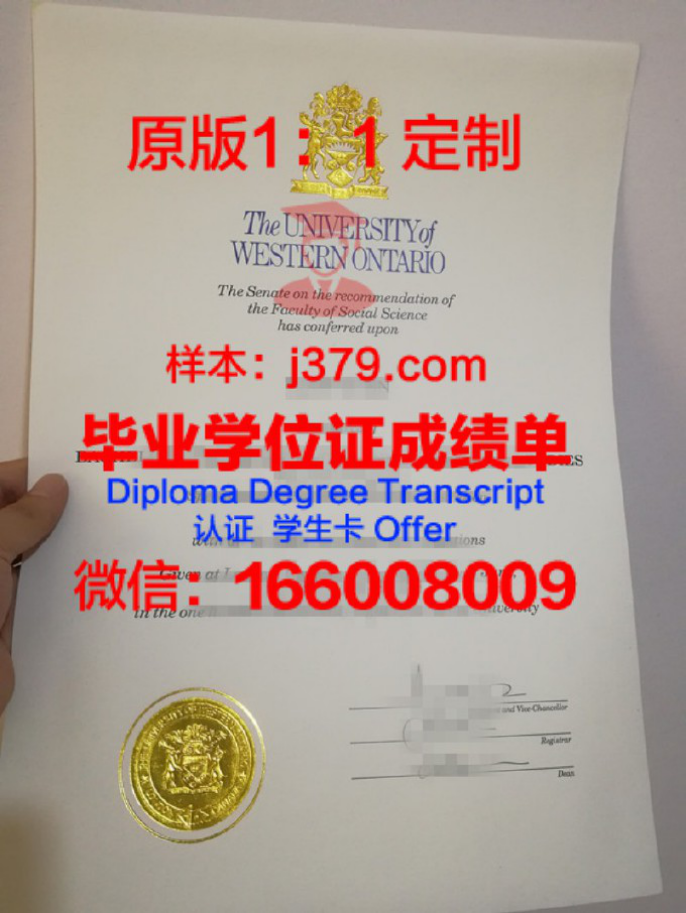 西安大略大学国王学院毕业证diploma