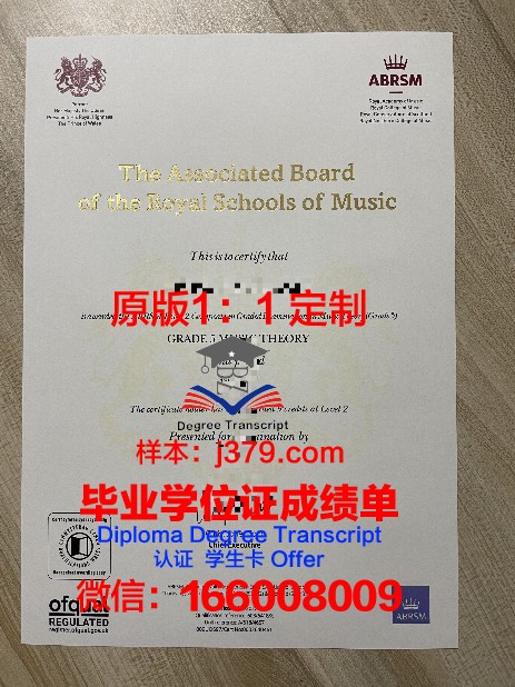 特罗辛根国立音乐学院毕业证图片(德国特罗辛根音乐学院怎么样)