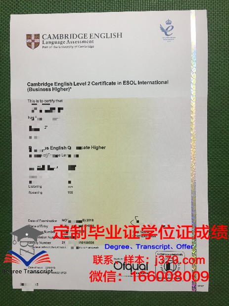 特里夫卡拿撒勒大学毕业证书图片模板