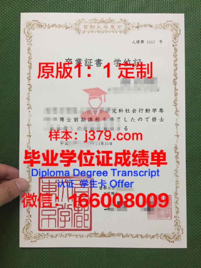 TIJ东京日本语研修所毕业证学位文凭学历Diploma