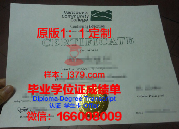 温哥华艺术学院毕业证diploma