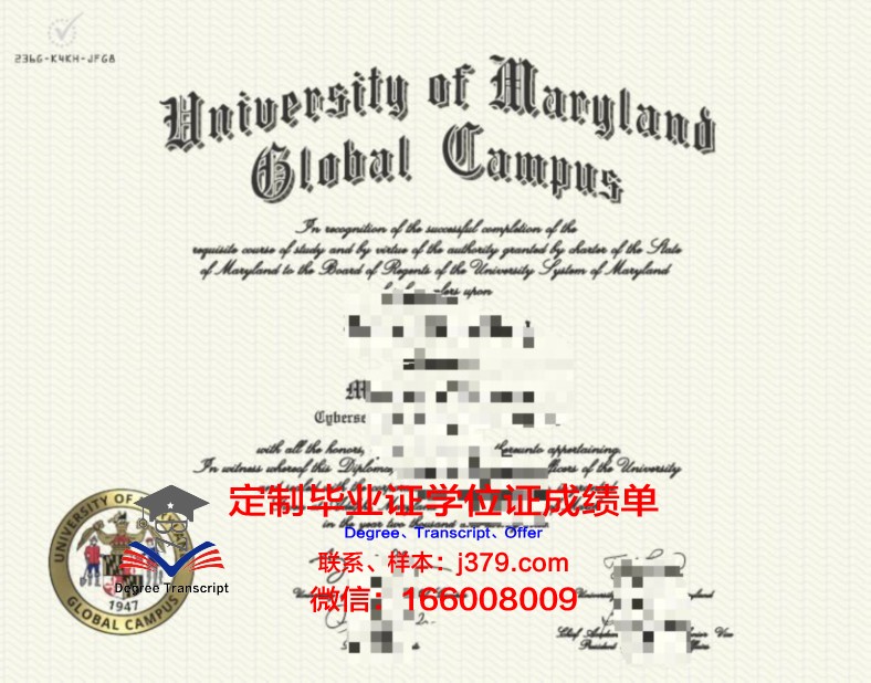 马库米拉图玛伊尼大学达累斯萨拉姆学院校园卡