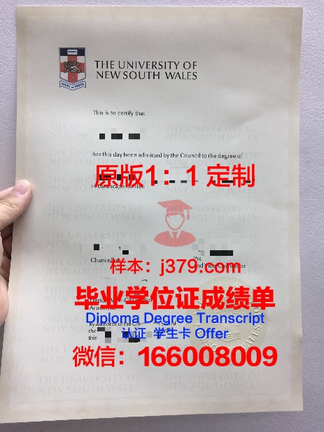 IESA多媒体学院的毕业证啥样(多媒体技术专业大学)