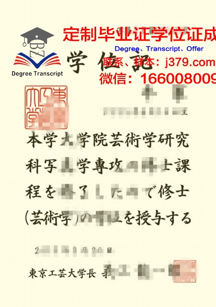 玛拉工艺大学毕业证书图片高清(玛拉工艺大学艺术学院地址)