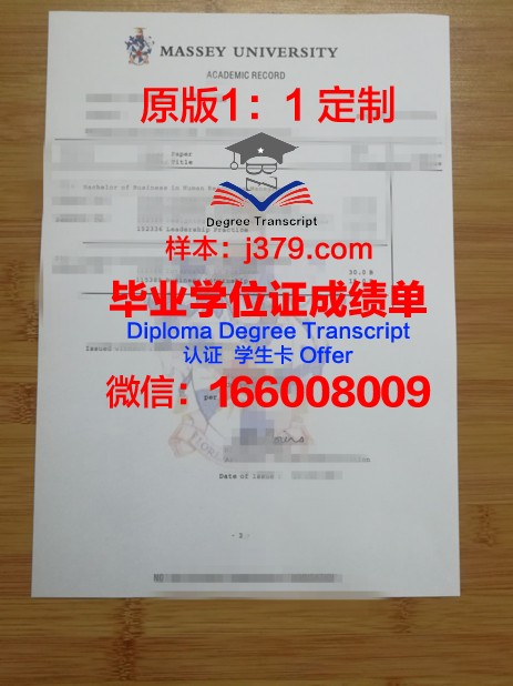 ITSLIGO成绩单：衡量学生能力的新标准