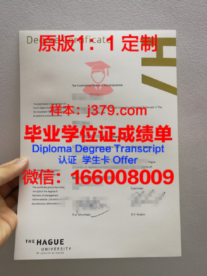 荷兰皇家艺术学院毕业证图片Royal Academy of Art, The Hague Diploma