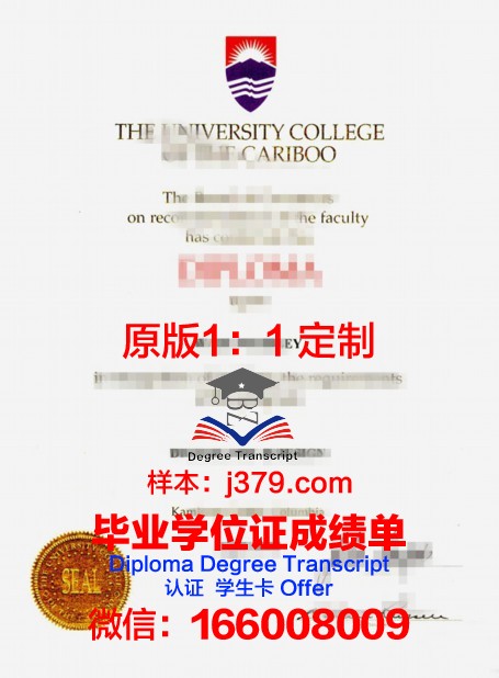 特里布万大学毕业证书图片高清(特里布尔)