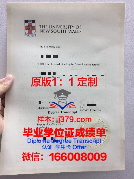 IE大学毕业证真伪(大学毕业证真伪查询系统)