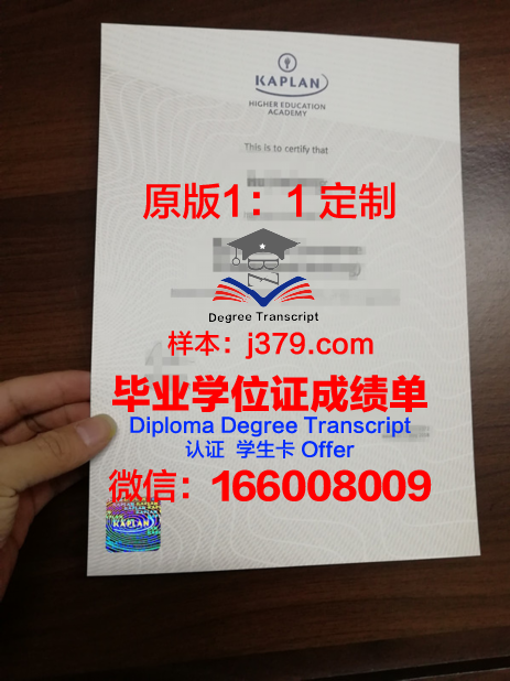 玉川国际学院毕业证diploma