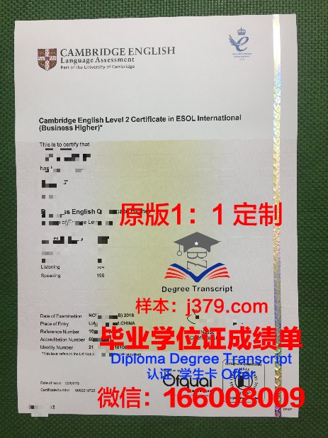 Insper教学与研究学院diploma证书(instituteinitiative)