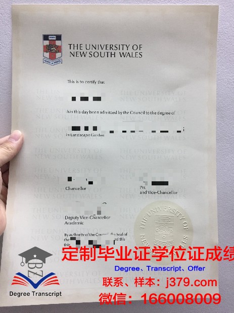 IE大学毕业证电子版