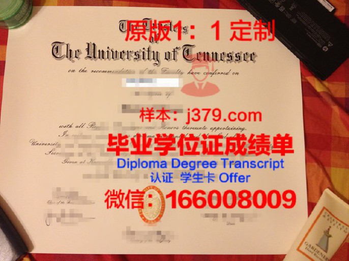 田纳西天普大学毕业证图片Tennessee Temple University Diploma