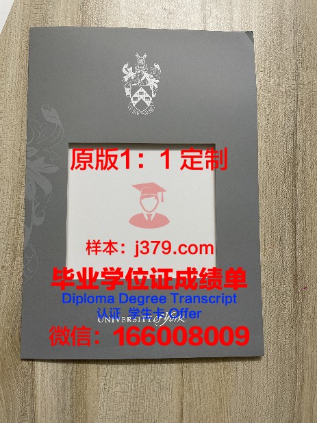 约克大学毕业证有成绩单吗怎么查(约克大学本科毕业率)